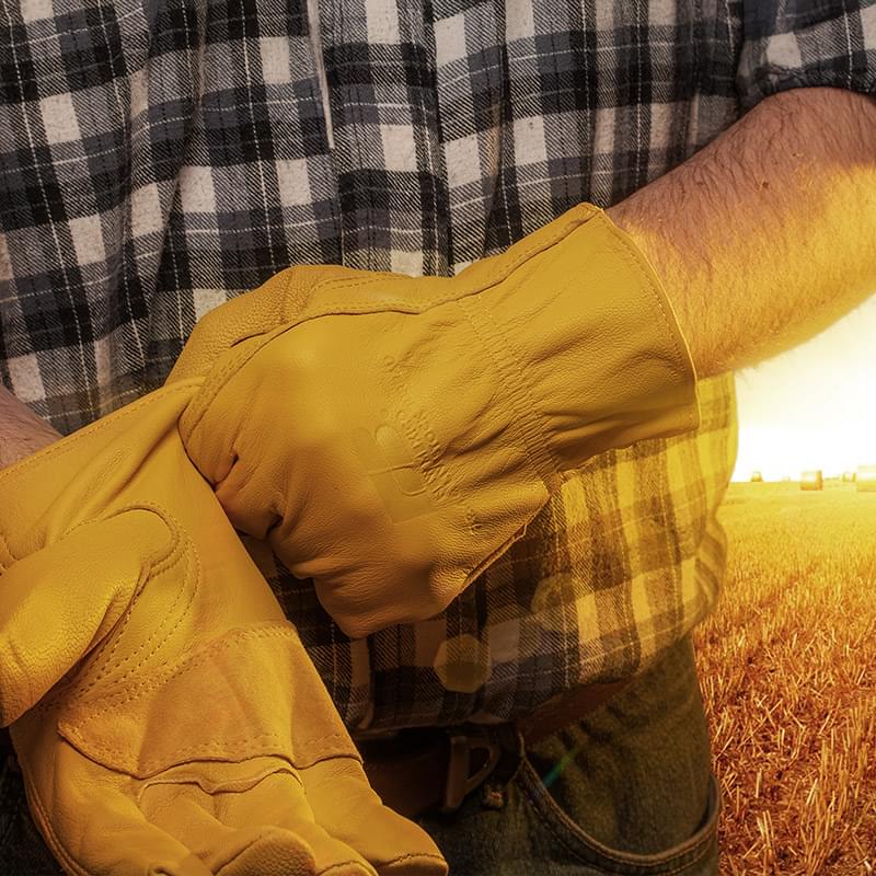 Premium Goatskin Leather Gloves